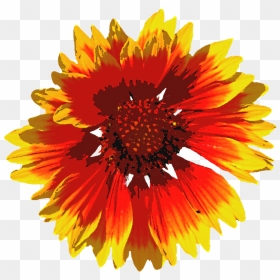 Portable Network Graphics, HD Png Download - blossom png