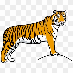 Tiiger Clipart Tiger Run - Drawing Of National Animal, HD Png Download - tiger clipart png