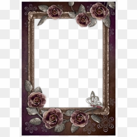 Rose Frame Flower Black Film Free Png Hq - Frame Clipart Portrait Borders, Transparent Png - rose frame png