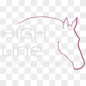 Tack Png , Png Download, Transparent Png - tack png