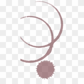 Wine Ring Stain Png - Circle, Transparent Png - wine stain png