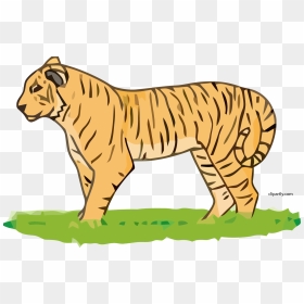 Tiger Cliparts, HD Png Download - tiger clipart png