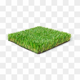 Lawn, HD Png Download - grass blade texture png