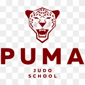 Tiger, HD Png Download - judo png