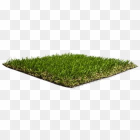 Lawn, HD Png Download - grass blade texture png