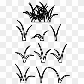 Patch Of Grass Drawing, HD Png Download - grass blade texture png