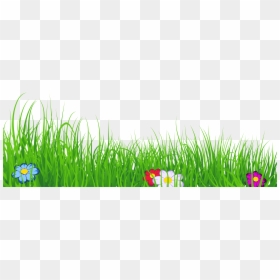 Grass Clipart No Background, HD Png Download - grass blade texture png