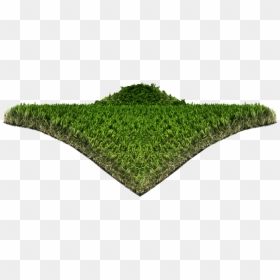 Hedge, HD Png Download - grass blade texture png