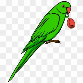 Information About Parrot In Hindi, HD Png Download - budgie png