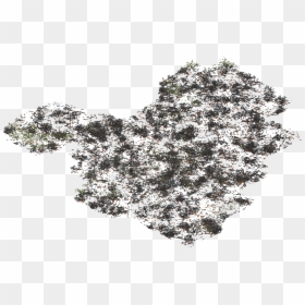 Sketch, HD Png Download - iso png
