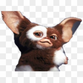 Movie Gremlins, HD Png Download - gremlins png