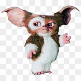 Mogwai From Gremlins, HD Png Download - gremlins png