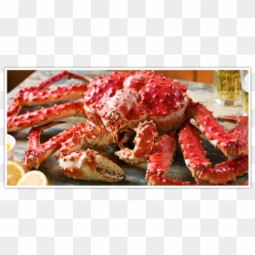Snow Crab Buffet Singapore, HD Png Download - club lights png