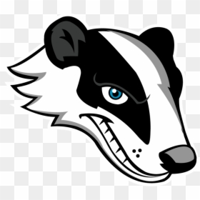 Badger Clip Art, HD Png Download - honey badger png
