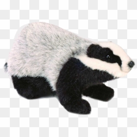 Badger, HD Png Download - honey badger png