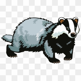 Badger Clipart, HD Png Download - honey badger png