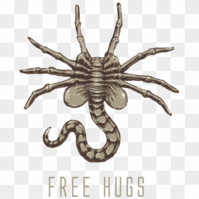 Spider, HD Png Download - facehugger png