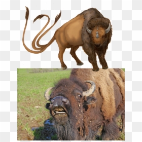 Tauros In Real Life, HD Png Download - tauros png