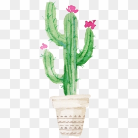 Transparent Background Watercolor Cactus, HD Png Download - plant.png