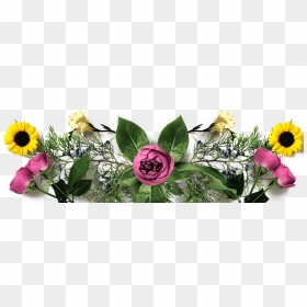 Garden Roses , Png Download - Garden Roses, Transparent Png - real flowers png