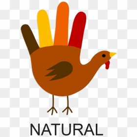 Transparent Thanksgiving Turkey Clipart - Draw A Turkey Hand, HD Png Download - thanksgiving clipart png