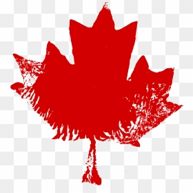 Canadian Maple Leaf Png, Transparent Png - canadian maple leaf png