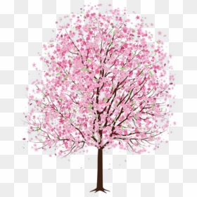Transparent Pink Tree Png - Cherry Blossom Tree Drawing Pencil, Png Download - japanese cherry blossom png