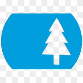 Tree Cut Big@2x - Circle, HD Png Download - big tree png