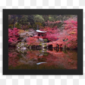 Daigoji Pond In Autumn - Picture Frame, HD Png Download - japanese cherry blossom png