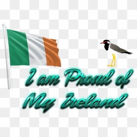 Ireland Flag Png - Seabird, Transparent Png - ireland flag png
