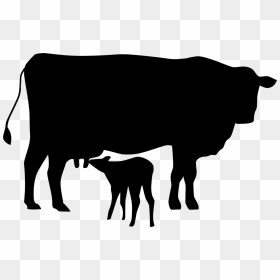 Cow And Cattle Cartoon, HD Png Download - cow icon png