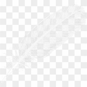 Grab And Download Feather Png Image Without Background - Literary Criticism, Transparent Png - feather icon png