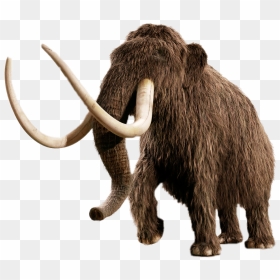 Mammoth - Mammoth Png, Transparent Png - mammoth png