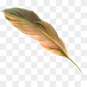 The Floating Feather Brown - Feather Of Brown Colour, HD Png Download - gold feather png