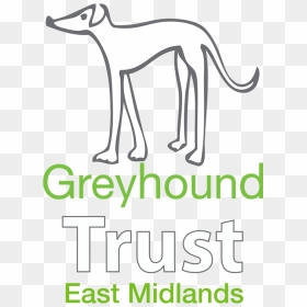 The Greyhound Trust East Midlands - Retired Greyhound Trust, HD Png Download - trust png
