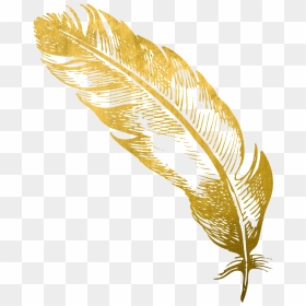 Transparent Feather Clipart Png - Gold Feather Png, Png Download - gold feather png