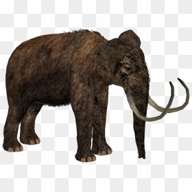 Thumb Image - Zoo Tycoon 2 Woolly Mammoth, HD Png Download - mammoth png