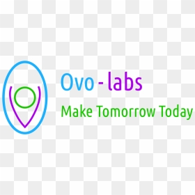 Circle, HD Png Download - ovo png