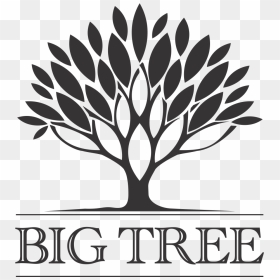 Big Tree Logo, HD Png Download - big tree png