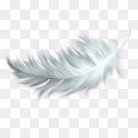 Transparent Background Feather Clipart Png, Png Download - gold feather png
