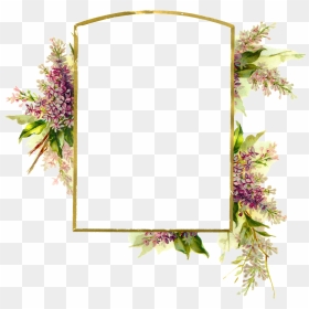 Digital Wisteria Flower Frame Download Png - Floral Frame Background Hd, Transparent Png - wisteria png