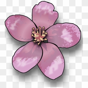 Apple Blossom Clip Art, HD Png Download - mexican flowers png
