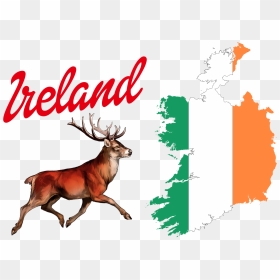 Ireland Flag Logo Png - Map Of Ireland With Flag, Transparent Png - ireland flag png