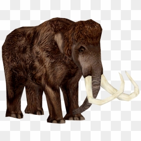 Woolly Mammoth Adult - Woolly Mammoth Png, Transparent Png - mammoth png