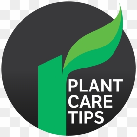 Plantcare Tip Icon - Plant-based Diet, HD Png Download - road icon png