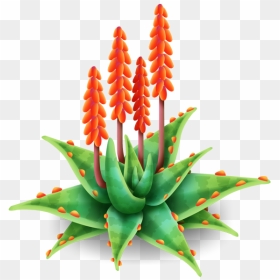 Hay Day Wiki - Aloe Vera Flower Png, Transparent Png - aloe png