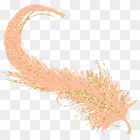 Feather Golden Gold Rosegold - Marine Invertebrates, HD Png Download - gold feather png