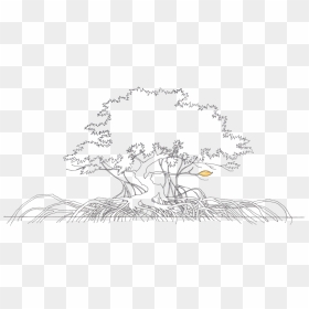 Collection Of Tree High Quality Free - Mangrove Tree Sketch, HD Png Download - tree sketch png