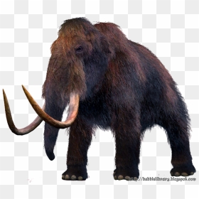 Mammoth Vector Tusk - Woolly Mammoth Transparent, HD Png Download - mammoth png