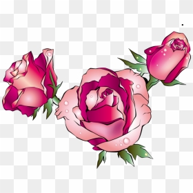 Rose Images Cartoon - Valentine Frame, HD Png Download - cartoon rose png